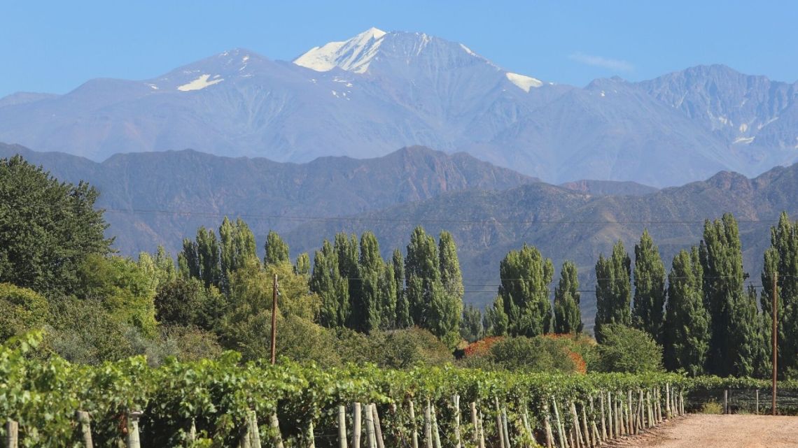The home of Malbec wine makes a play for copper in Argentina mining revival