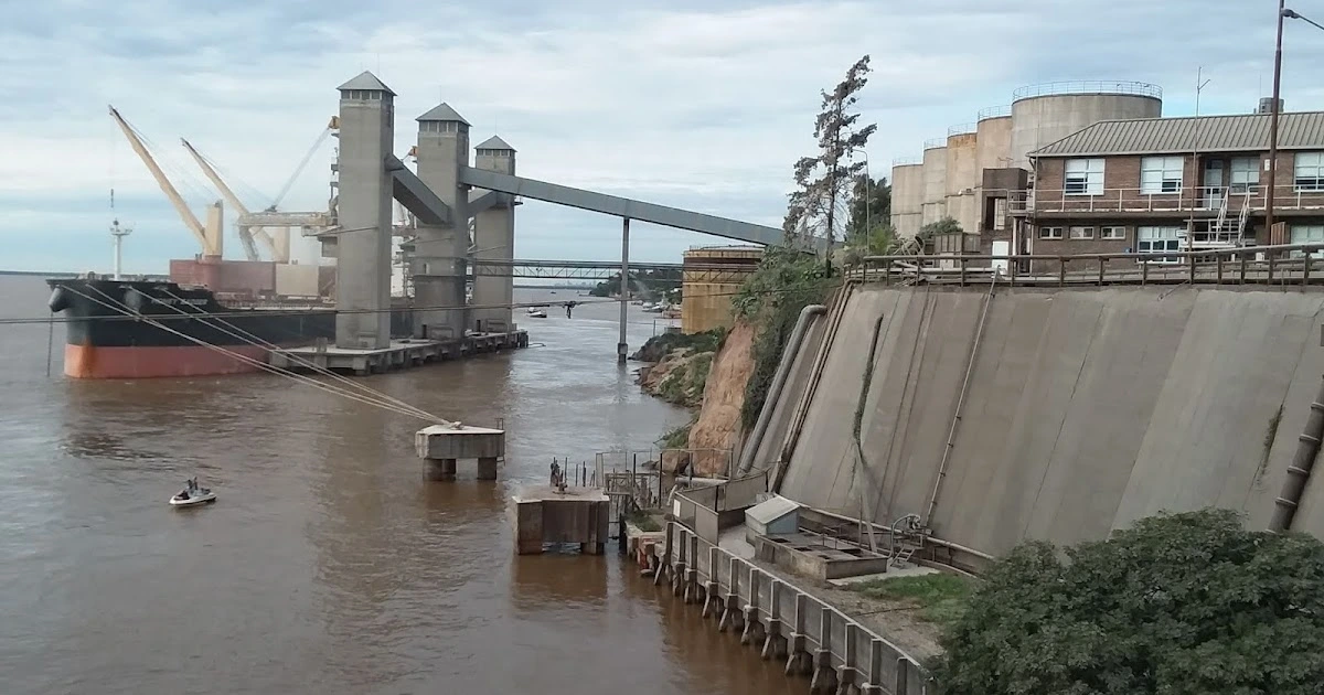 Argentina’s Grain Exports Surge by 32.3% in July 2024