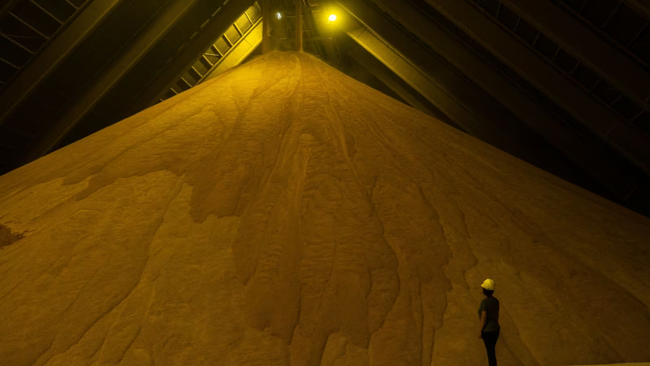 Court Ruling Sets Back Bunge’s Rescue of Argentina Soy Exporter