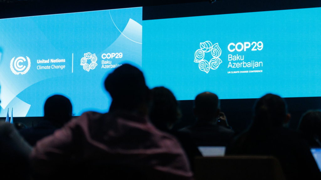 Argentina’s Javier Milei withdraws delegation from UN climate talks in Baku
