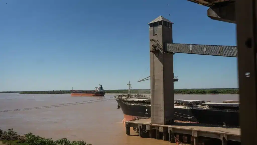 Milei government accused of skewing auction to upgrade soy river