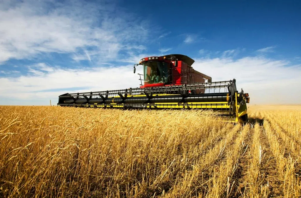 Argentina Cuts Export Taxes to Boost Farm Sector