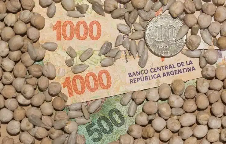 Groups Petition Milei to Eliminate Argentina’s Export Taxes